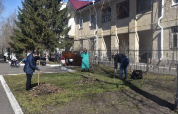 Сегодня сотрудники Центра социальной помощи семье и детям приняли участие в субботнике.